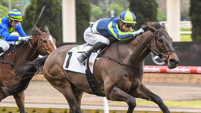 Floating Artist notched his first win since his comeback from injury. Picture: Brett Holburt-Racing Photos via Getty Images