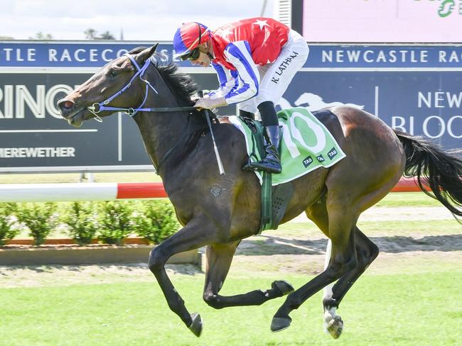 Consistent gelding War Ribbon can kick off his campaign with a win at Wyong. Picture: Bradley Photos