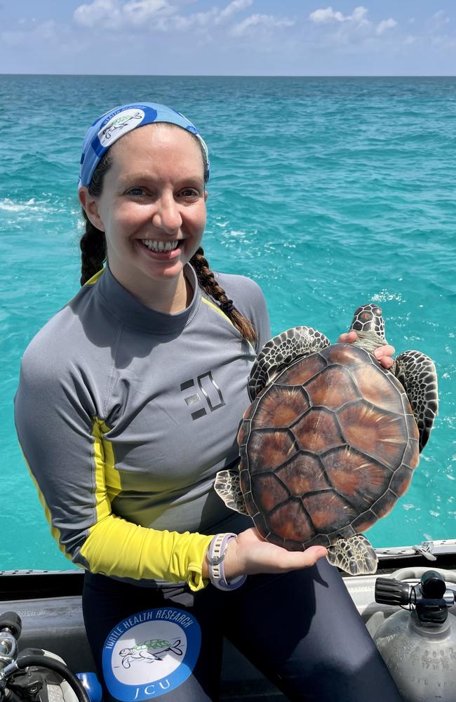 Jess Grimm is the lab manager at world’s first turtle health research ...