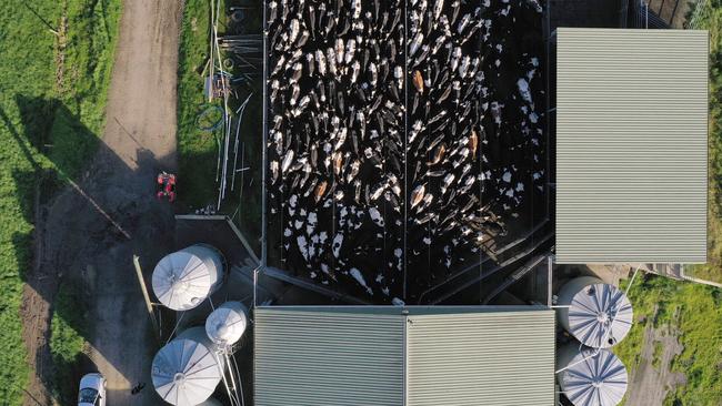 Coles said price rises and longer contracts provided farmers income certainty while securing the supermarket chain’s milk supply. Picture: Bloomberg