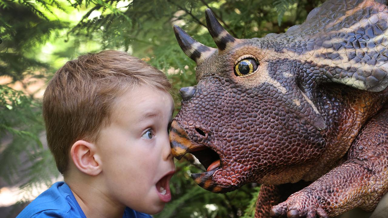 Triceratops horridus, facts and photos