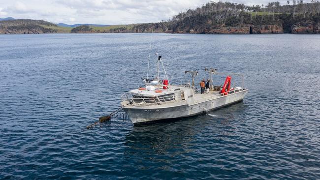 Australia’s largest seaweed grower and manufacturer, Sea Forest Pty Ltd, is set to dramatically lift its production of eco-friendly Asparagopsis seaweed – aimed at reducing methane emissions from livestock – following a major property acquisition in Swansea, Tasmania.