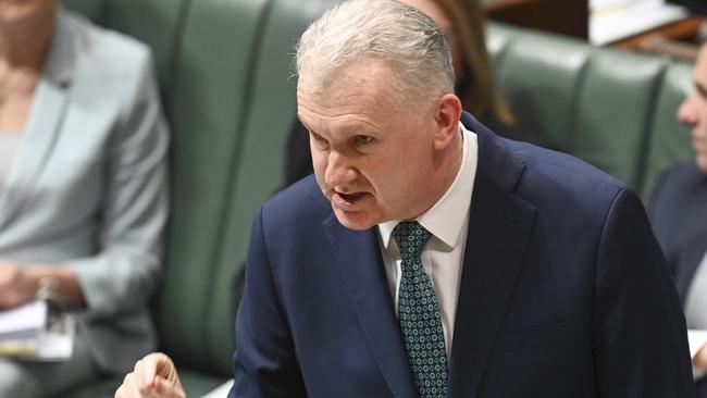 Home Affairs Minister Tony Burke has said he will personally review her visa application, which as of yet has not been made. Picture: NewsWire/ Martin Ollman