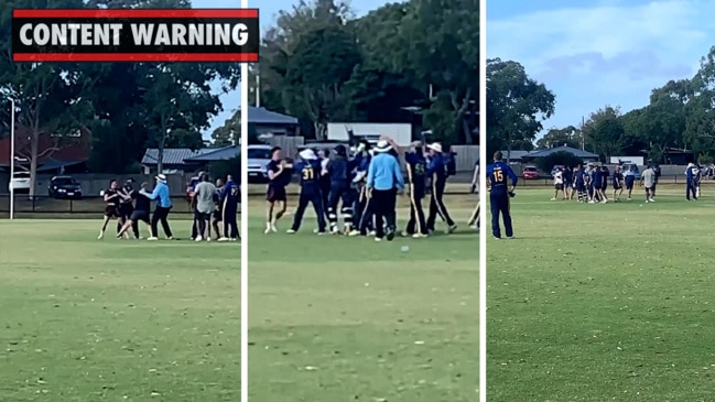 Cricket brawl erupts between Dingley and Aspendale