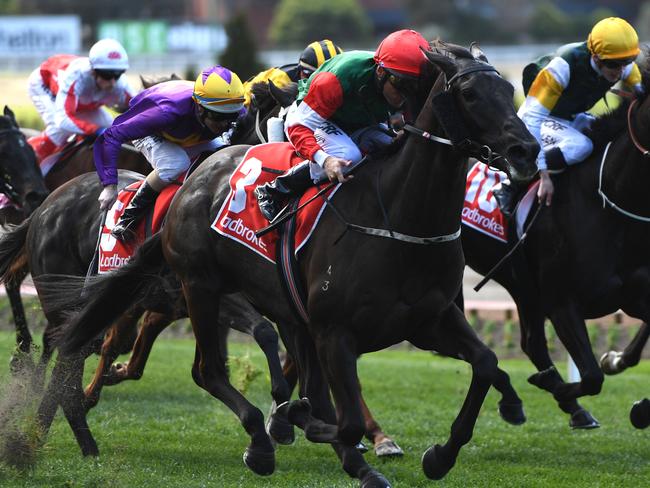 Samovare can bounce back at Caulfield on Saturday.