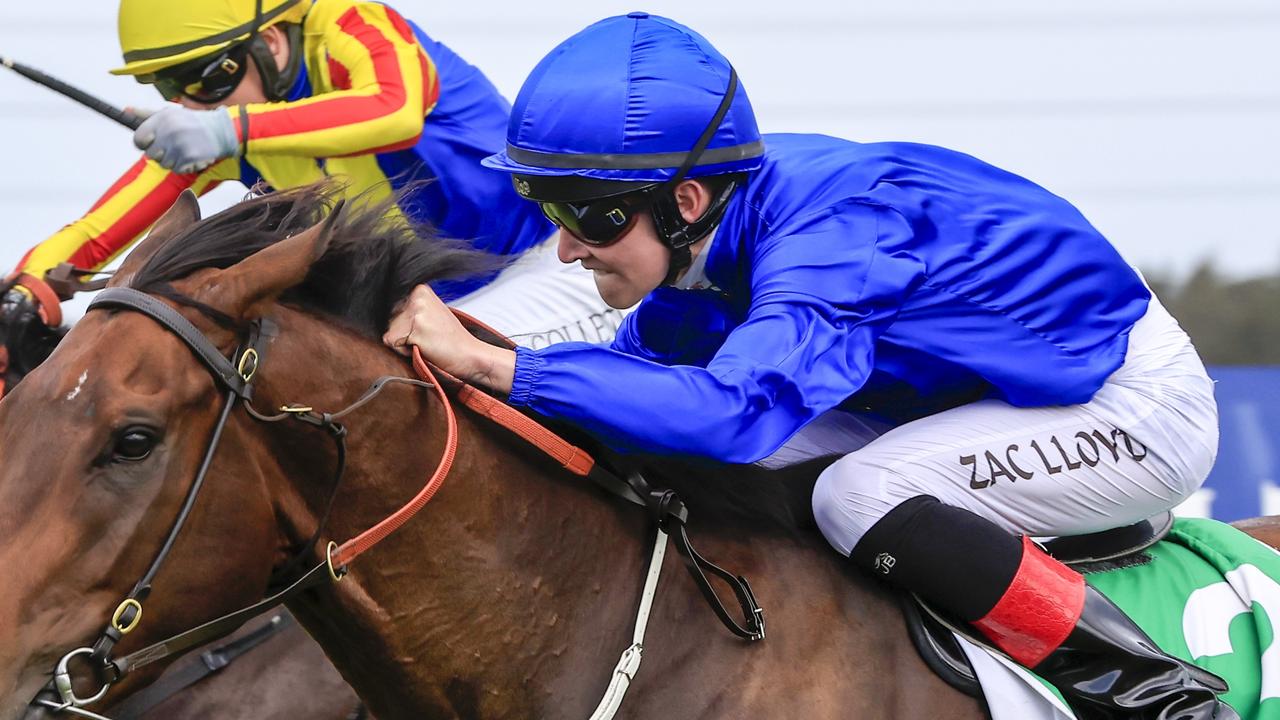 Zac Lloyd rides Shines for Team Hawkes at Wyong. Picture: Getty Images