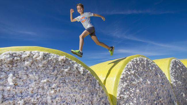 Cubbie Station is famous for its cotton. Picture: Nigel Hallett.