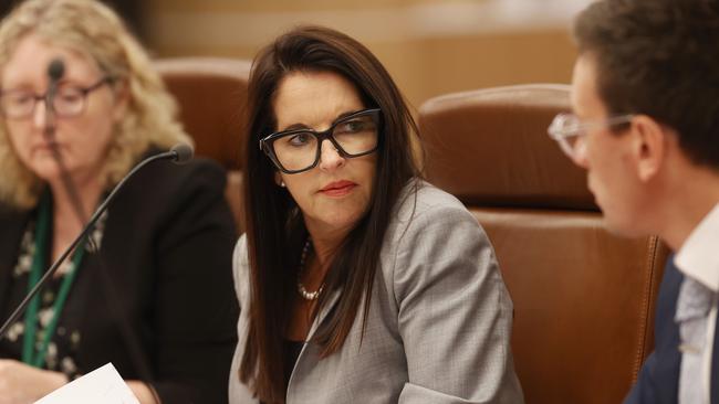 Minister for Small Business Jane Howlett at a parliamentary hearing into racing. Picture: Nikki Davis-Jones