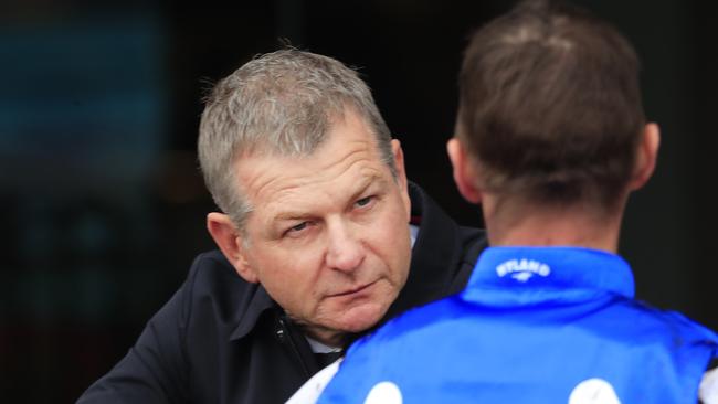 Trainer Kris Lees has Mugatoo in the Cox Plate. Photo: Mark Evans/Getty Images