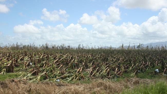 The aftermath of Cyclone Yasi at Innisfail in February 2011.