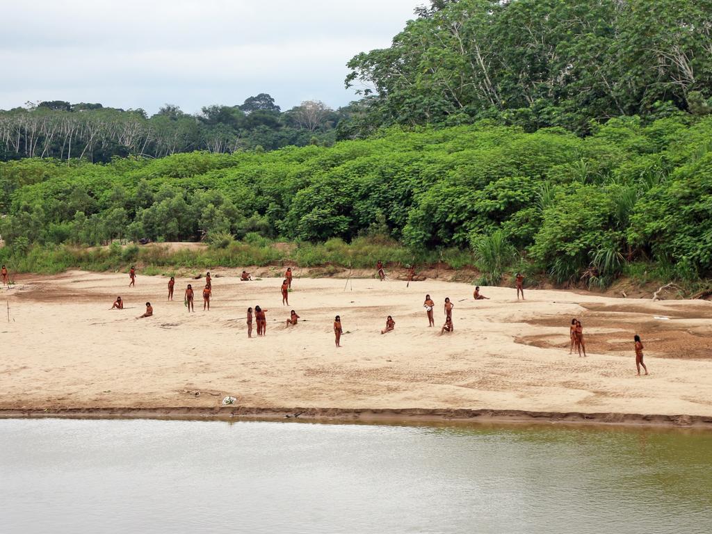 The reclusive Mashco Piro tribe used bows and arrows to attack loggers suspected of encroaching on their territory in the Amazon. Picture: Survival International