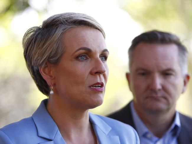 Deputy Leader of the Opposition Tanya Plibersek speaks during a press conference in Sydney, Sunday, April 29, 2018. Labor says it has come up with a new source of GST revenue that would allow the states to agree to cut the 10 per cent tax on female sanitary products.(AAP Image/Daniel Munoz) NO ARCHIVING