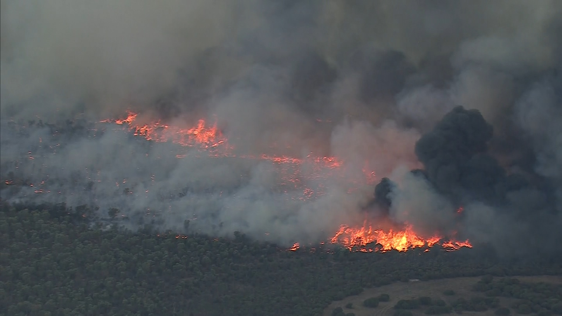 Today’s News Headlines: Emergency bushfire warning issued in Western Australia