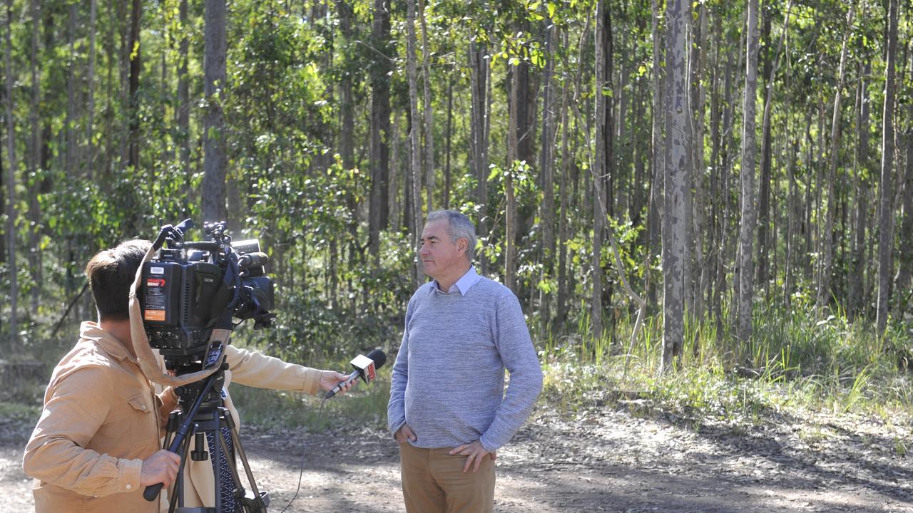 Upgrades announced for Bom Bom Forest | Daily Telegraph