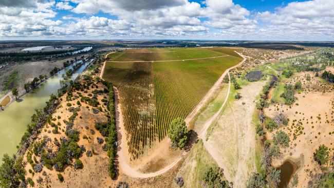 Accolade is looking to sell its Banrock Station Vineyard in the Riverland. Picture: Supplied by Langley & Co