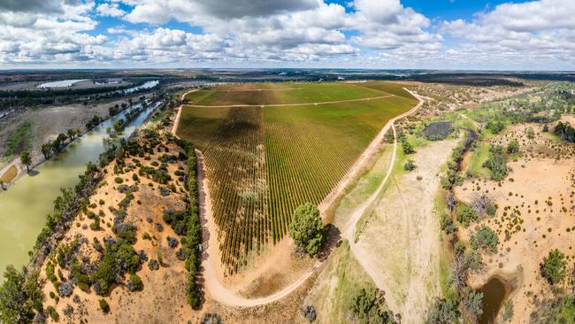 Accolade is looking to sell its Banrock Station Vineyard in the Riverland. Picture: Supplied by Langley &amp; Co