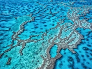 This is a seascape of Great Barrier Reef in Queensland, Australia. GBR is registered as the World Natural Heritage Site, and is well known worldwide as a tourist destination in the world. Many people come to see this beautiful scenery every year.