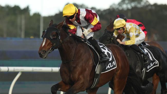 Andrew Adkins winning the Lord Mayor’s Cup at Rosehill on Saturday. Picture: Getty Images