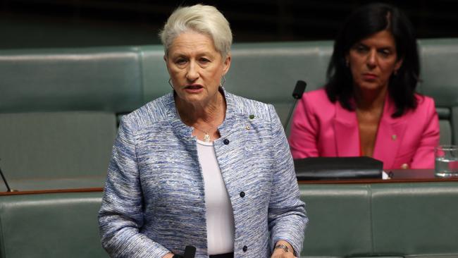 Independent MP Kerryn Phelps. Picture: Gary Ramage