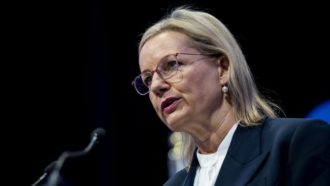 Sussan Ley was among senior female members of the Coalition who warned the party “has no plans, no policy and no interest in unwinding women’s reproductive rights”. Picture:NewsWire/ Monique Harmer