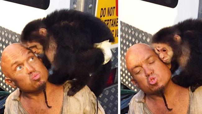 Pirates star Martin Klebba posted photos to Twitter of himself with a<br/>capuchin monkey from the film with the message 'Ello Jack! #monkey<br/>#monkeylove #Pirates #piratesofthecaribbean #mates