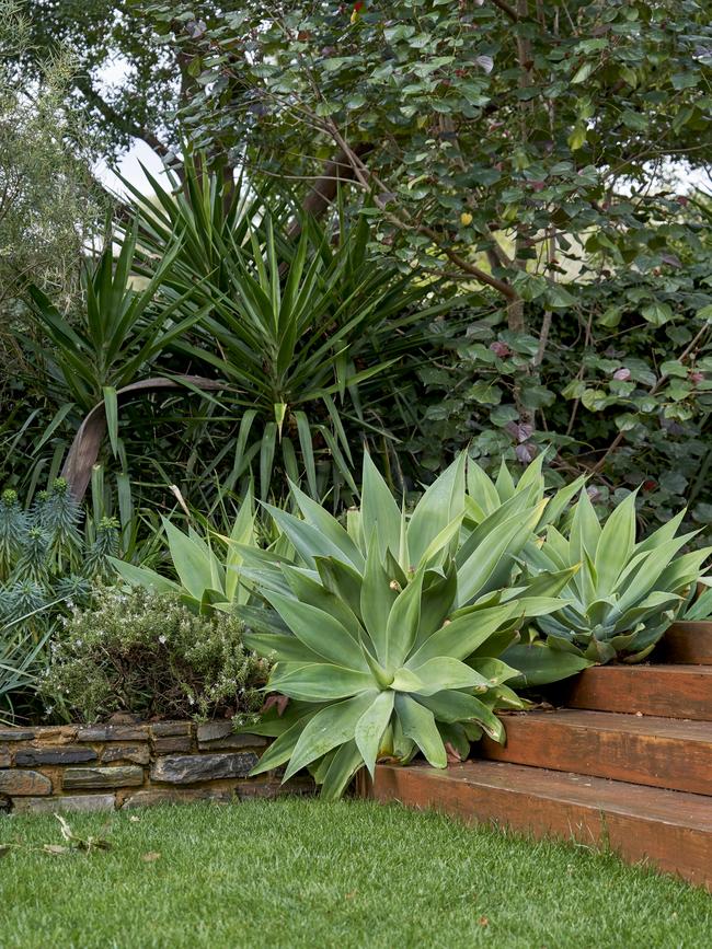 In the Netherby garden. Picture: Sam Roberts