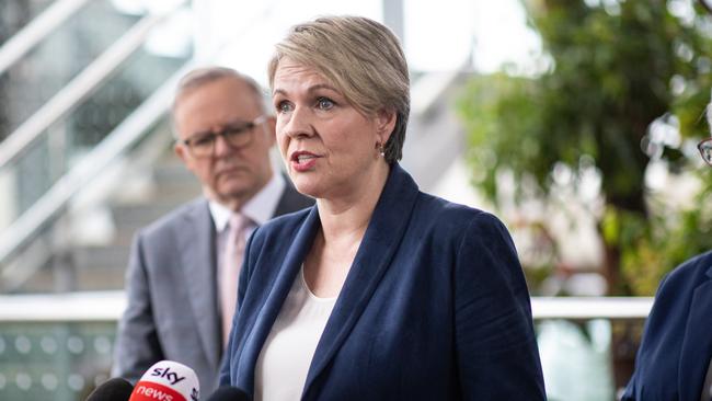 Minister for the Environment and Water Tanya Plibersek. Picture: NCA NewsWire/Christian Gilles