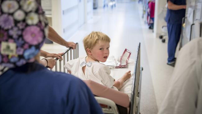 Harry heads into surgery. Picture: Jason Edwards