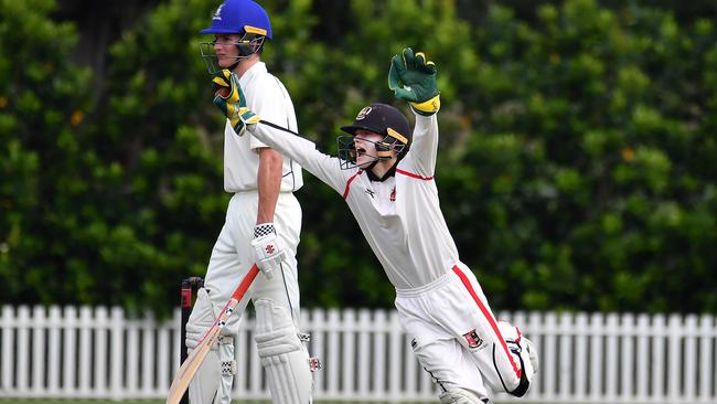 St Joseph's Gregory Terrace wicket keeper celebrates a wicket GPS Picture, John Gass