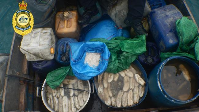 ABF and the Crown claimed there was a total of 3.2 tonnes of trepang seized. Picture: Australian Border Force