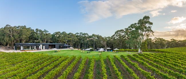 Nepenthe’s upgraded cellar door boasts incredible vews. Picture: Supplied