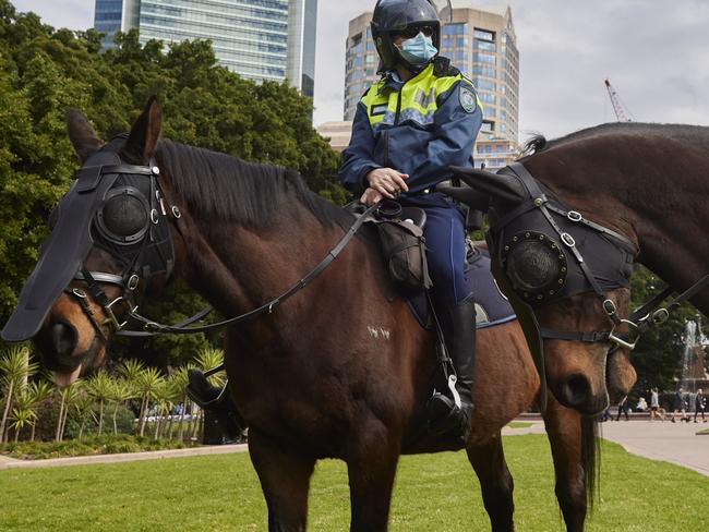 ‘They’ll be killed’: 2GB listener’s alleged horse threats