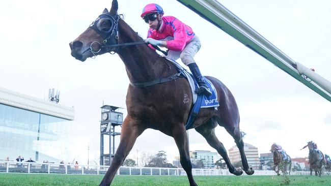 Recommendation cruises home under Blake Shinn to win the Sir John Monash Stakes at Caulfield. Picture: Scott Barbour / Racing Photos