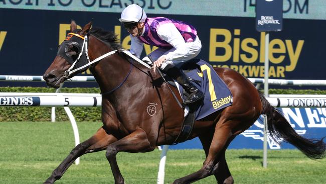 Razeta won well last start and looks a great chance in the Hawkesbury Guineas. Picture: Grant Guy