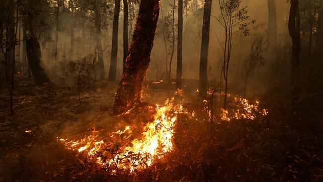 Last year’s horrific bushfire season is still high on everyone’s minds. Picture: Darrian Traynor / Getty Images