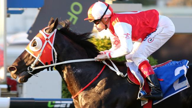 Kuro has returned to Joe Pride’s stable after two campaigns in Melbourne. Picture: Jono Searle