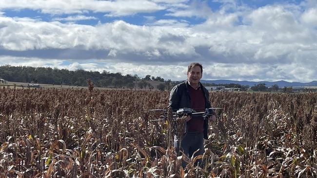 Professor David Jordan uses drones to collect data about sorghum crops. Photo: Madison Mifsud-Ure / Warwick Daily News