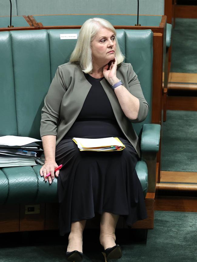 Home Affairs Minister Karen Andrews. Picture: NCA NewsWire / Gary Ramage