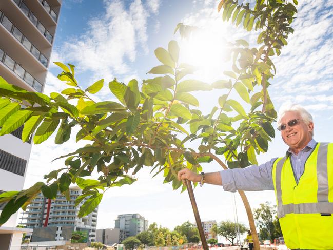 The first trees are being planted at Daly St on the CBD beautification project, Darwin. Lord Mayor of Darwin the Hon. Kon Vatskalis takes great pride in planting the first tree of the project.Picture: Che Chorley