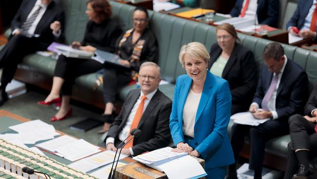 Environment Minister Tanya Plibersek. Picture: NCA NewsWire / David Beach