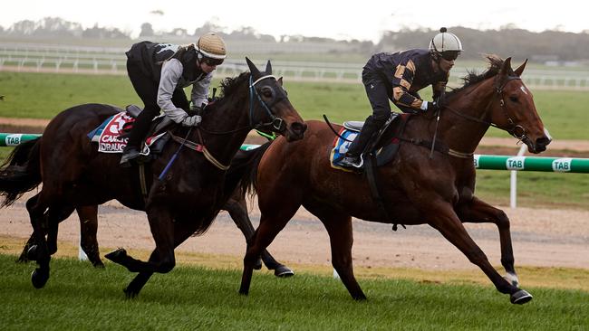 Behemoth wins the first trial at the new Murray Bridge Racecourse at Gifford Hill this month. Picture: MATT LOXTON