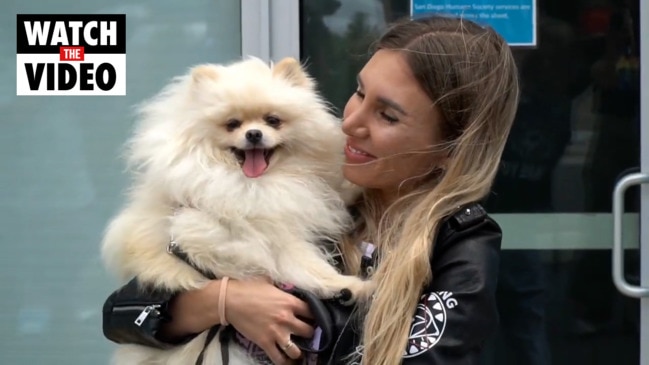 Ukrainian Refugee Reunites With Dog After Quarantine