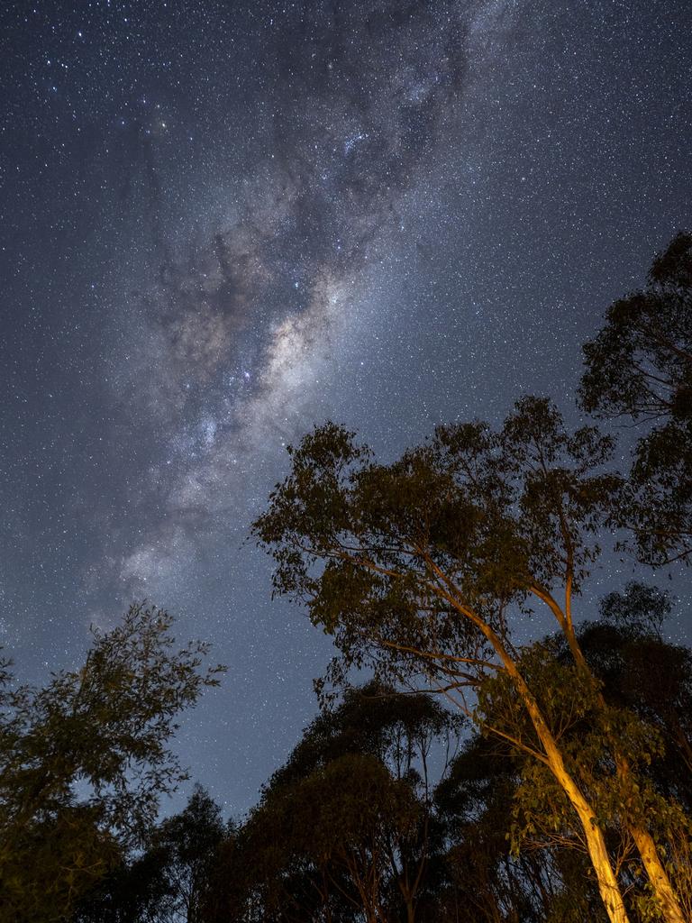 The clear night sky above Orchards Nest. Picture: Nathan Waterhouse