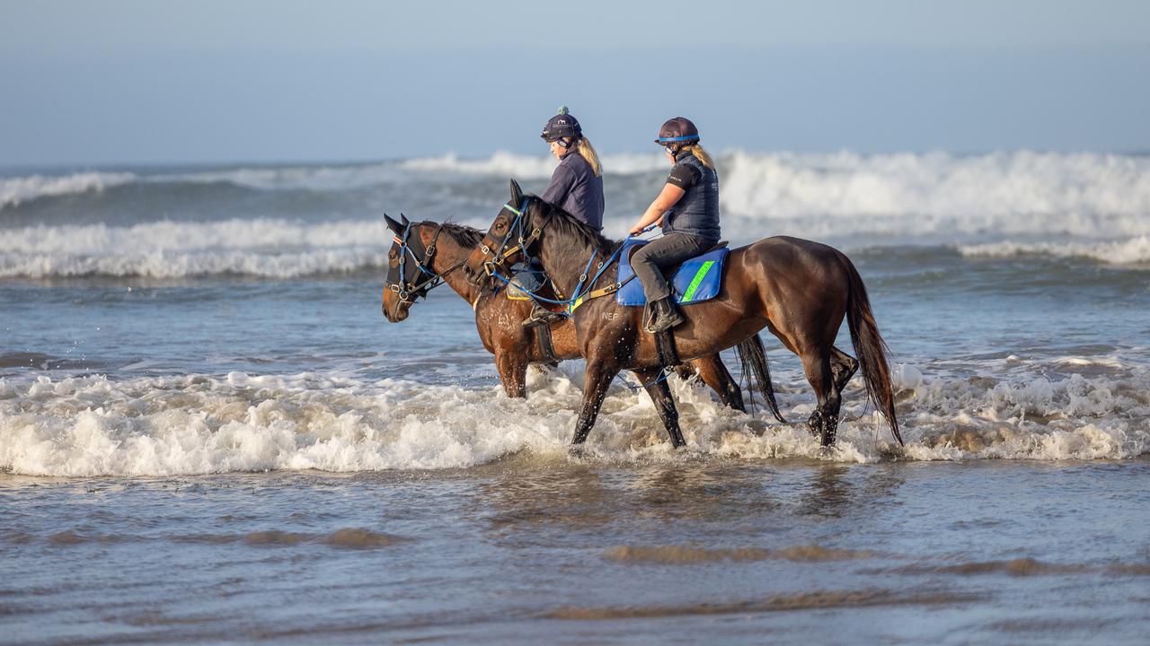 Asfoora (right) goes for a dip in the water at Goolwa Beach. Picture: Makoto Kaneko