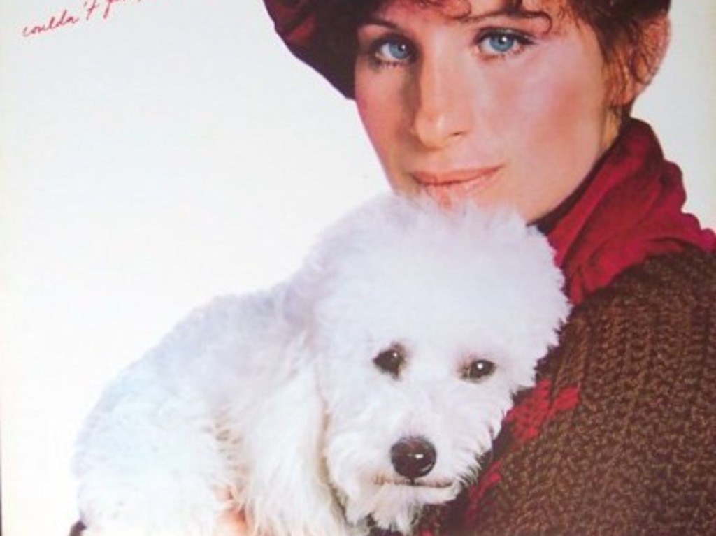 1. Songbird - While “Funny Girl was running on Broadway in the mid-1960s, Barbra Streisand acquired a dog named Sadie, a gift from the other cast members. On the cover of her 1978 album “Songbird”, she’s holding the poodle and in her handwriting are the words, “Sorry, couldn’t find a bird.”