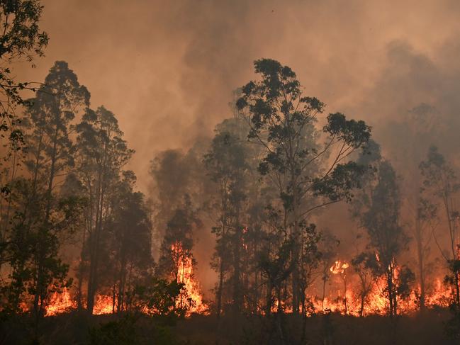 Bobin is 350km north of Sydney. Picture: Peter Parks