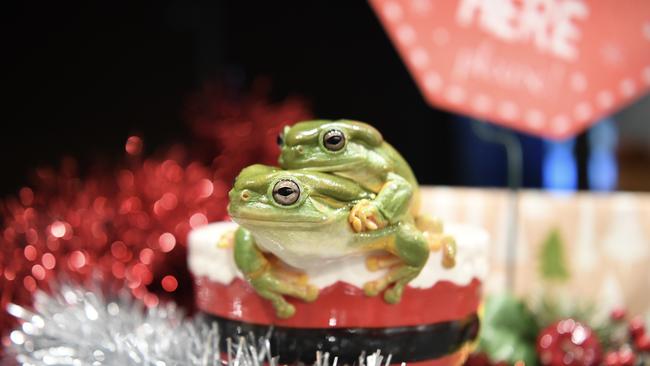 Christmas Frogs