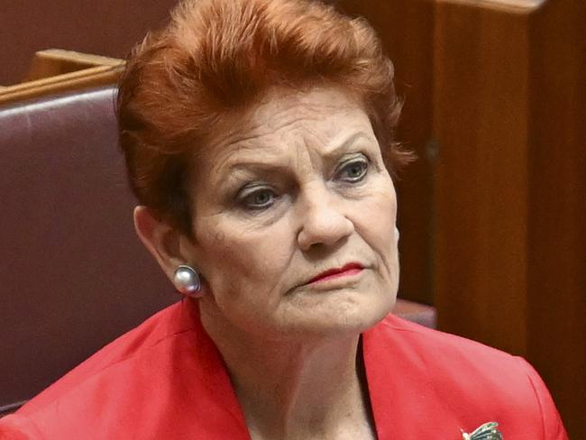 CANBERRA, AUSTRALIA  - NewsWire Photos - November 27, 2024:  Senator Pauline Hanson during Question Time in the Senate at Parliament House in Canberra. Picture: NewsWire / Martin Ollman