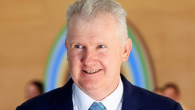 Employment and Workplace Relations Minister Tony Burke. Picture: NCA NewsWire / Jenny Evans