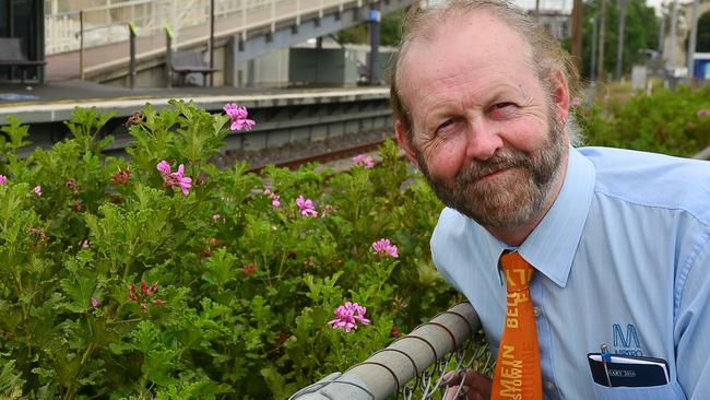 A Metro ticketing officer (not the inspector) called Graham Osborn has put native plants adjacent to the track at Greensborough train station to spruce it up, with money out of his own pocket. With flourishing plant, Pelargonium.